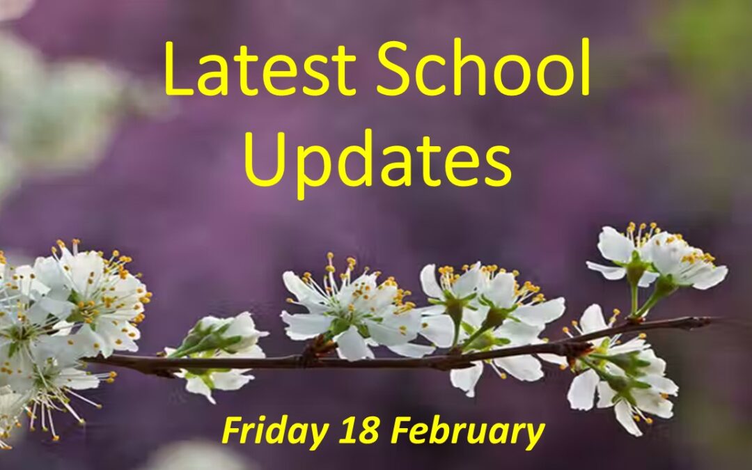 Latest School Update Friday 18 February 2022